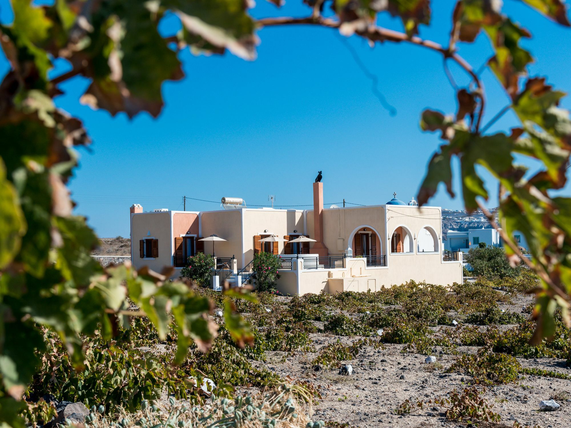 Vineyard Exclusive Suites Akrotírion 외부 사진